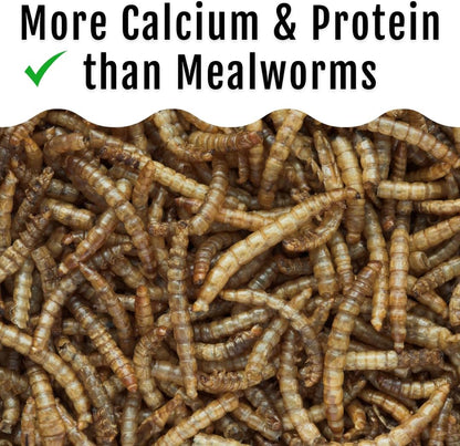 Grub Fuel Black Soldier Fly Larvae for Chickens - Nutrient-Packed BSFL, Sustainably Sourced Snack for Poultry, Rich in Protein, Calcium, Fiber, Essential Fatty Acids, USA Grown (1LB)