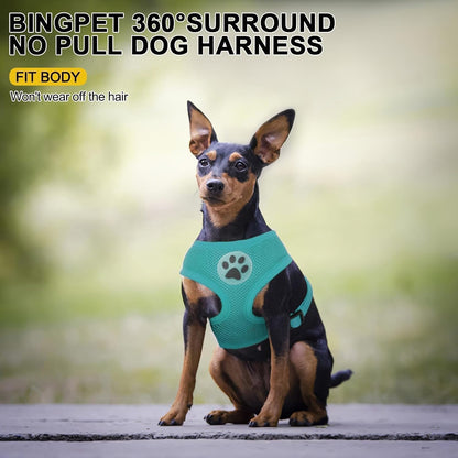 BINGPET Small Dog Harness - Breathable Mesh Puppy Cat Harnesses - No Pull Adjustable Dog Harness Dog Vest Harness for Small and Medium Dogs