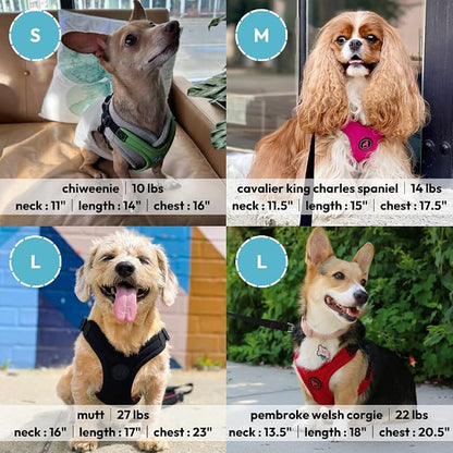 Gooby Escape Free Sport Dog Harness, Choke-Free, Lime, Small | Patented escape-free frame; Reduces choking; 4-point adjustment; Soft neoprene padding; Durable webbed straps