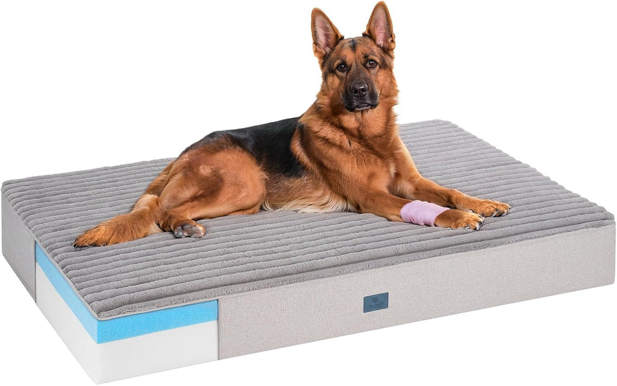 Veehoo Orthopedic Memory Foam Dog Bed, 7 Inch Thick Extra Large XXL Dog Bed for Senior Dogs with Ultra-Soft Fluffy Surface, Waterproof Liner, Removable Washable Cover and Non-Slip Bottom, 52"x36"x7"
