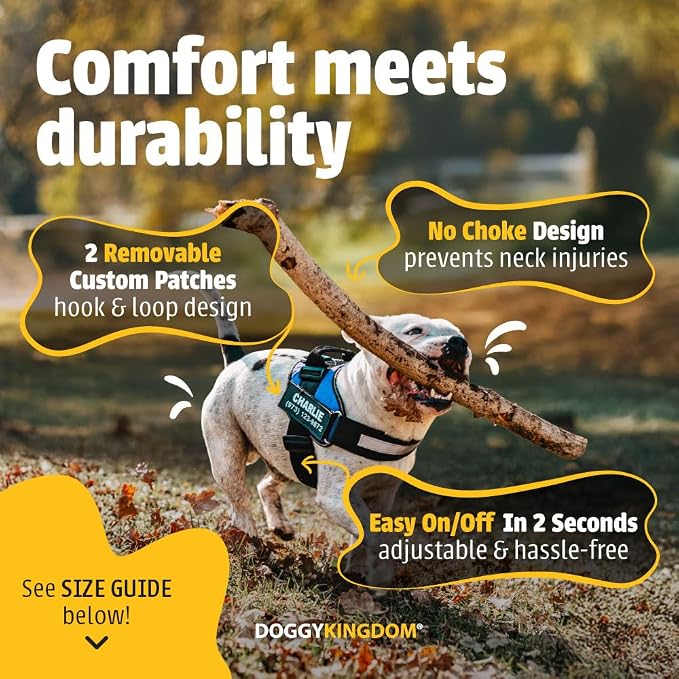 Personalized Dog Harness with Custom Name Patches, Adjustable Reflective No Choke Dog Vest with Handle for Small Dogs and Growing Puppy, Military Green, XS