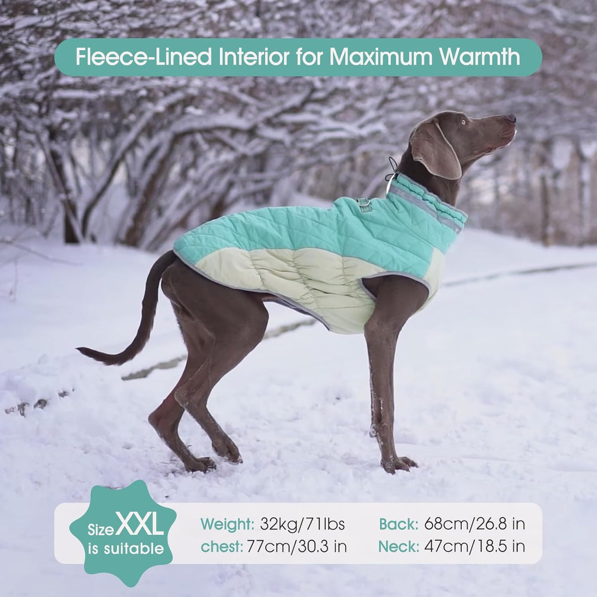 FUAMEY Dog Coat for Large Dogs,Waterproof Dog Winter Jacket with Harness Built in Puppy Cold Weather Coats Reflective Pet Vest with Zipper Warm Fleece Dogs Snowsuit Windproof Mint Green L