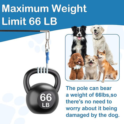 Flirt Pole for Dogs Interactive Dog Pole Toy for Large Medium Small Dogs, Dog Teaser Pole for Tug of War, Flirt Pole with Lure Ball (Standard&Extended Pole+Elastic Rope)