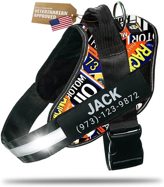 Personalized Dog Harness with Custom Name Patches, Adjustable Reflective No Choke Dog Vest with Handle for Extra Large Dog, Motorsport, XL