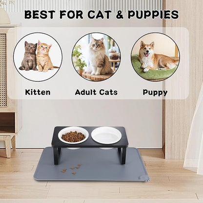 Elevated Whisker Friendly Cat Bowls, 15 Tilted Stand Anti Vomiting Raised Dishes for Food and Water,2 Ceramic Bowls for Cats and Puppy,Black