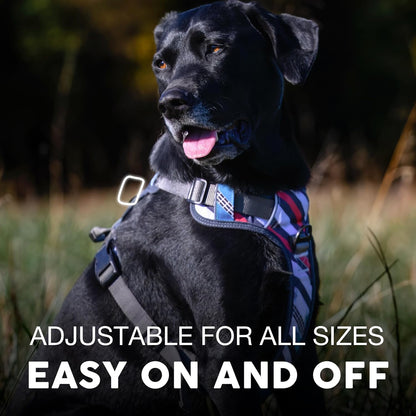 Embark Adventure Dog Harness, Reflective Trim No Pull Dog Harnesses for Small Sized Dogs - Military Grade Nylon, Front Clip with Gel Lined Handle.