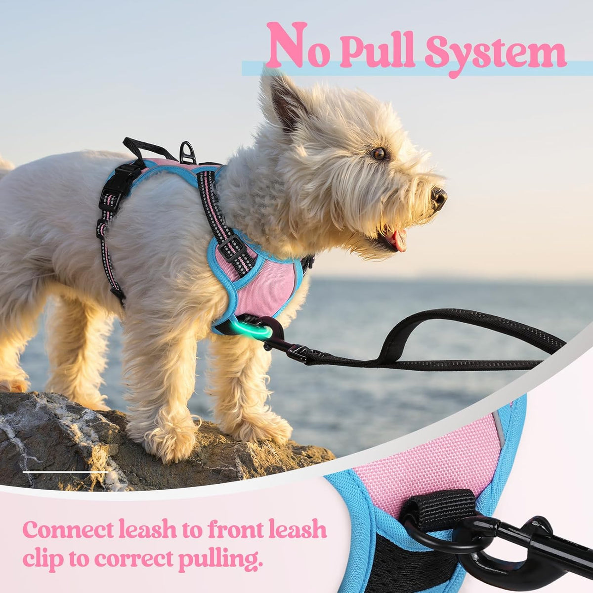 rabbitgoo Dog Harness No Pull with 2 Leash Clips, Adjustable Soft Padded, Reflective Oxford No Choke Pet Vest with Easy Control Handle for Puppy, Pink & Blue, XS