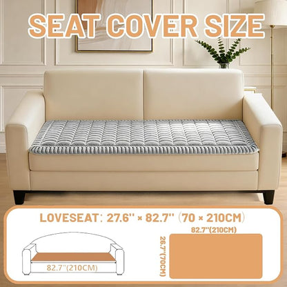 Waterproof Couch Cover for Dogs Washable,Nonslip Fuzzy Durable Pet Friendly | Soft Slipcovers for 3 Cushion Sofa Cover,Plush Thick Protector Fits Mat Bed Leather & Fabric Couches (Light Grey 27.6"x82.7")