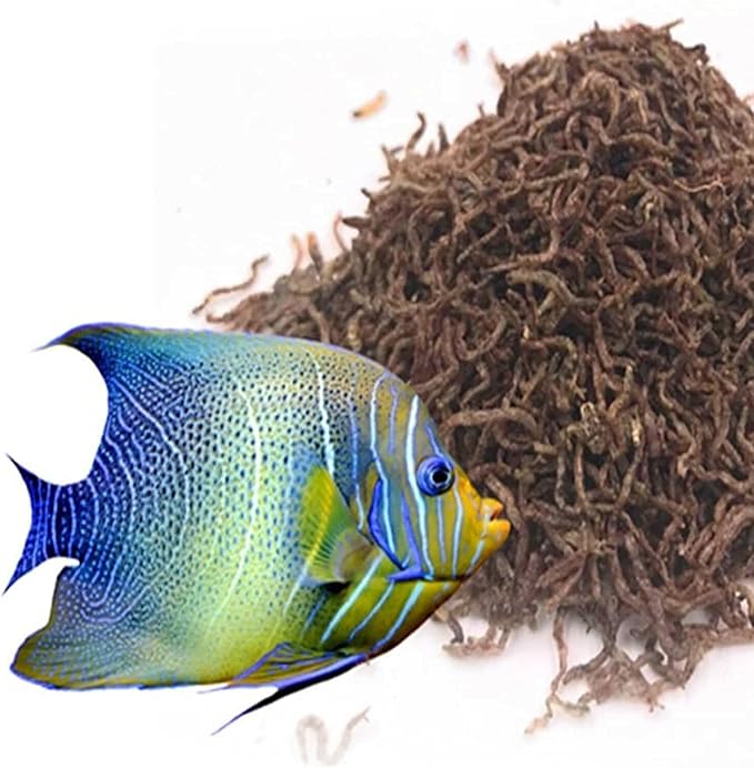 Aquatic Foods Inc. Bloodworms, Freeze Dried Grade A Fresh Floating Bloodworms for All Tropical Fish, Bettas, Discus, Cichlids, Community Fish, Turtles, Carnivore Tropical Fish - 2-lbs