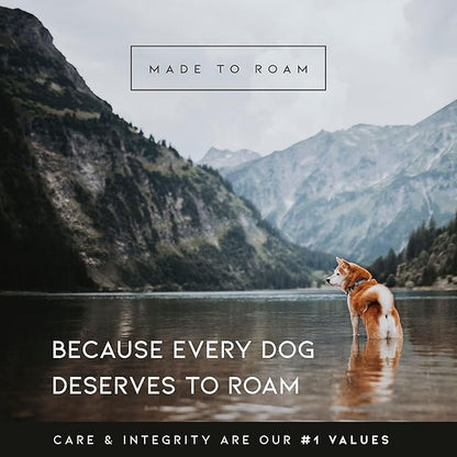MADE TO ROAM Premium Explorer Harness - Y-Shaped Dog Harness with Adjustable Durable Nylon, Soft Padding, Metal Buckles and Leather Handle for Small, Medium, Large Dogs (Michigan Autumn, Size 1)