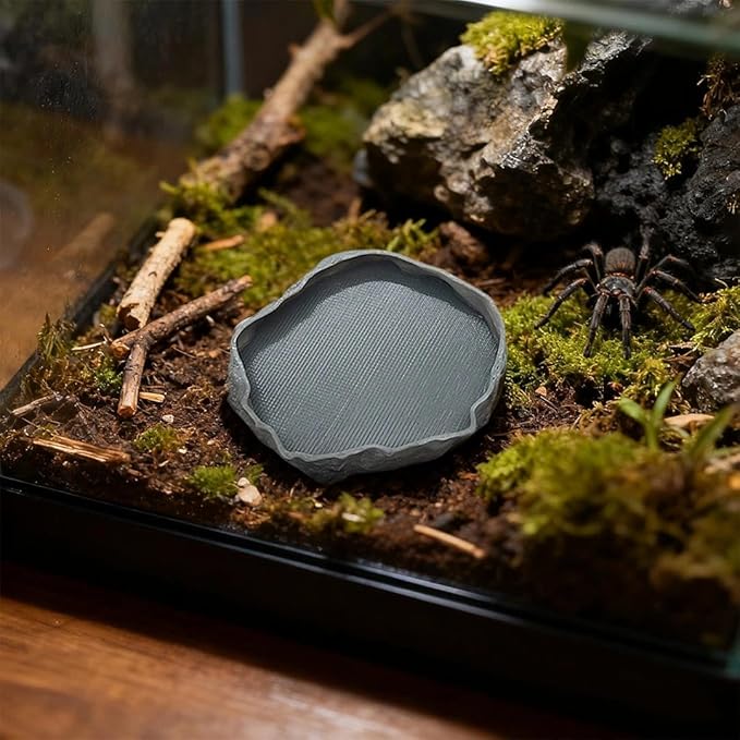 1 PCS Spider Micro Water Bowl Jumping Spider Feeding Dish Tarantula Water Dish for Millipede Gecko Lizard Tarantula Tiny Reptiles (2.17" D, 0.31" H) Brown