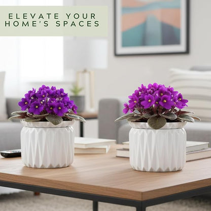 6 Inch African Violet Pots Self Watering, Ceramic Planter with Water Reservoir and Fill Lines, 4 Inch Opening, Indoor Flower Pot, Holds 3 Weeks of Water (1 Pack)
