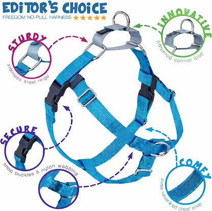 2 Hounds Design Freedom No Pull Dog Harness, Adjustable Harness and Leash Set, Easy Walking & Comfortable Control, Fits Small, Medium & Large Dogs, Solid Colors, Made in USA, 1" MD, Turquoise
