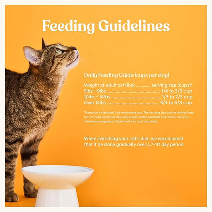 Made by Nacho Dry Cat Kibble 2lb Bag, High Protein Premium Cat Food with Freeze-Dried Pieces, Cage-Free Chicken, Duck & Quail, Limited Ingredients, Single Bag