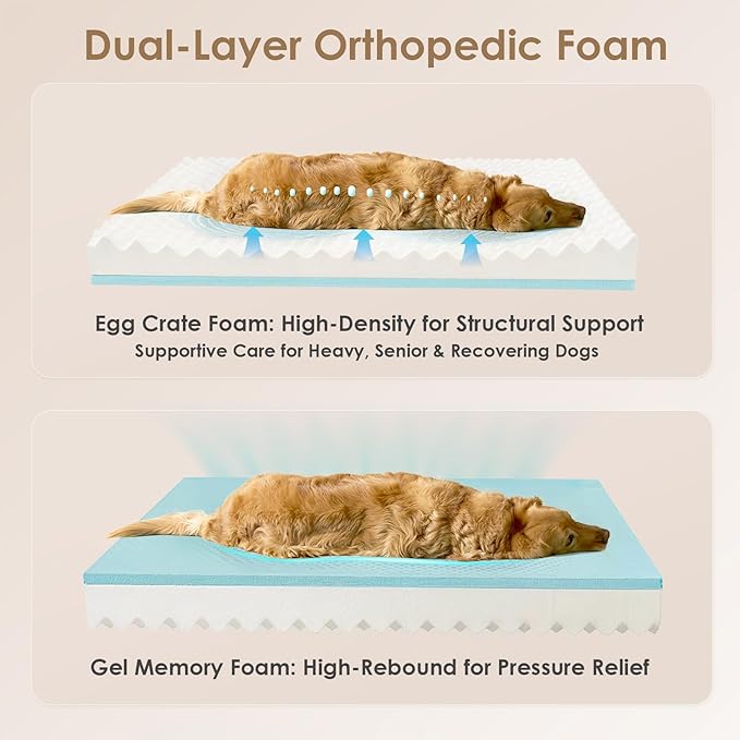 EHEYCIGA Orthopedic Dog Bed for Medium Dog, Memory Foam Dog Couch, Dark Green