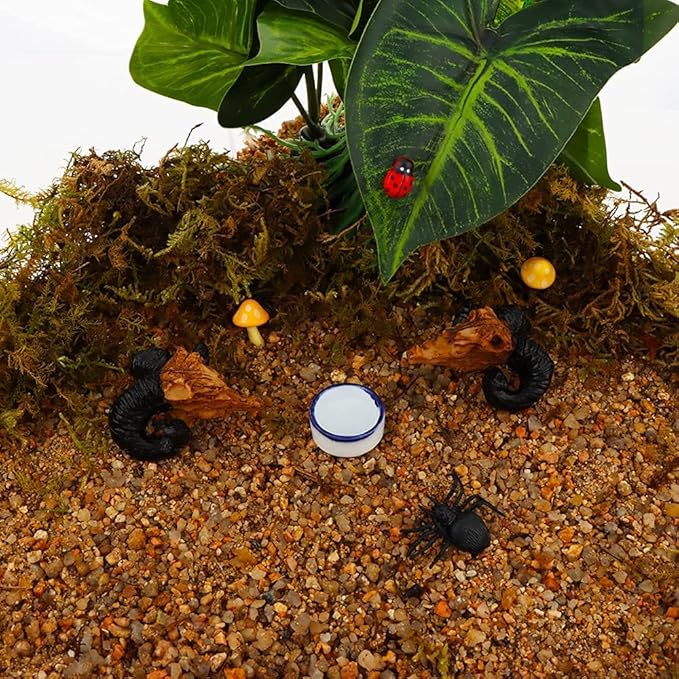 Tarantula Micro Water Bowl Spider Anti-Turnover Bowl for Small Hamster Tarantula Spider Scorpion Cricket Snail Manti Millipede Tiny Bugs Reptile Terrarium Cage Accessories (L (1.57??dia),4 Pcs)