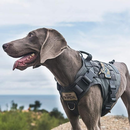 OneTigris Tactical Dog Harness Vest,No-Pull Service Dog Vest with Hook & Loop Panels,Adjustable Dog Vest Harness for Walking Hiking Training(Grey,XS)