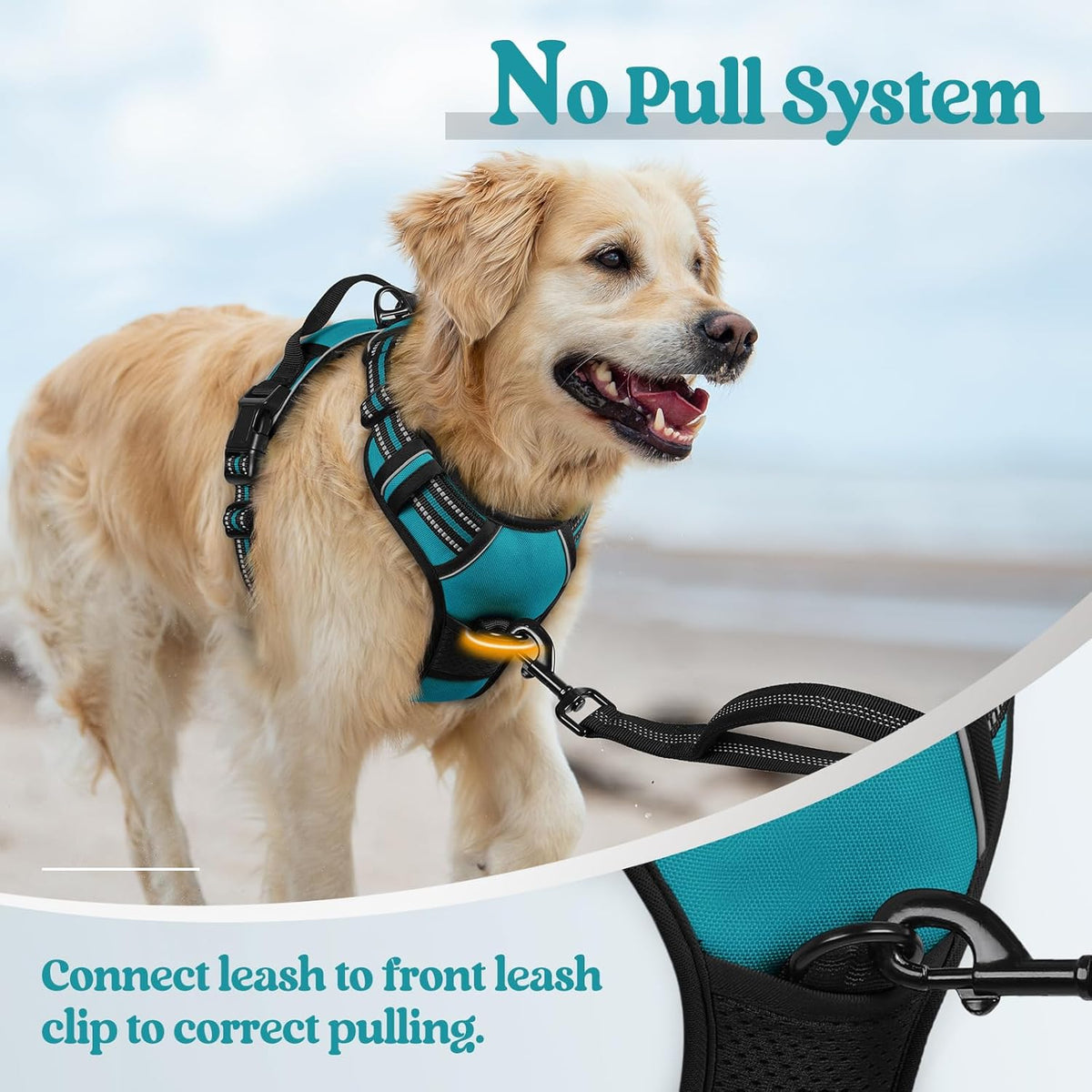 rabbitgoo Dog Harness No Pull with 2 Leash Clips, Adjustable Soft Padded, Reflective Oxford No Choke Pet Vest with Easy Control Handle for Large Dogs, Teal, XL