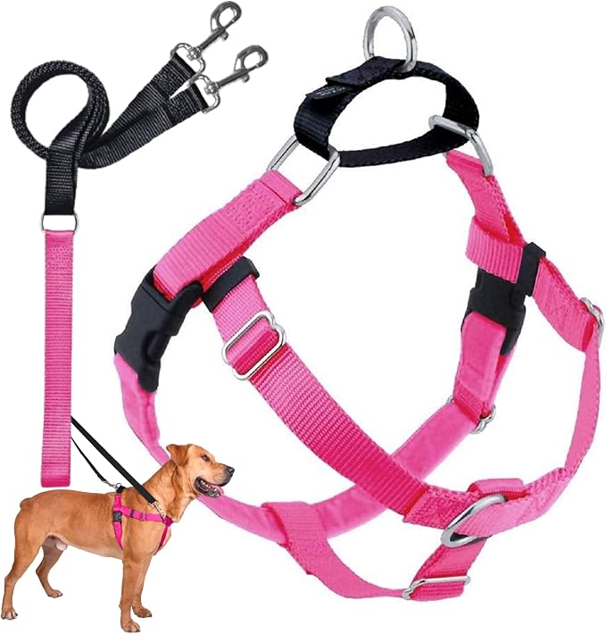 2 Hounds Design Freedom No Pull Dog Harness, Adjustable Harness and Leash Set, Easy Walking & Comfortable Control, Fits Small, Medium & Large Dogs, Solid Colors, Made in USA, 5/8" MD, Hot Pink