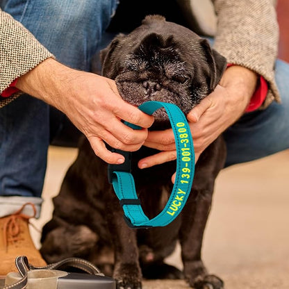 DIY Personalized Embroidered Dog Collar - Custom Hand-Stitched Name & Number, Reflective Adjustable Pet Collar for Small/Medium/Large Dogs & Cats, Durable Nylon with Steel D-Ring (Hotpink, Medium)