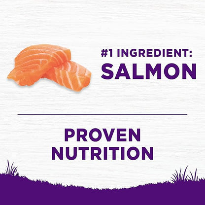 Wellness Complete Health Sensitive Skin & Stomach Dry Dog Food, Wholesome Grains, Natural, Salmon & Rice Recipe, (5-Pound Bag)