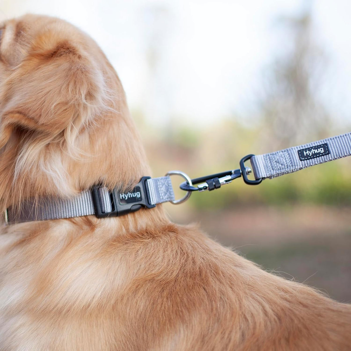 Hyhug Pets Solid Color Classic Regular Heavy Duty Basic Collar for Large Breeds Dogs, Unique Design Adjustment Triglide Slide (Buckle) Can Attached Name Tag Accessories. (Large, Sleet Gray)