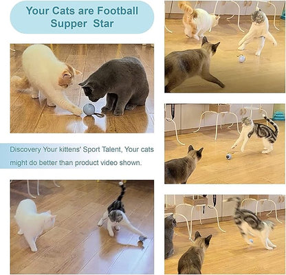 Migipaws Interactive Cat Ball Toy Set, Fun Tracker, Automatic Rolling Chase Ball with Fluffy Tail, A Small Mice, Rechargeable (Orange)