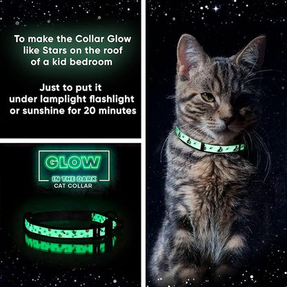 Pawtitas Halloween Cat Collars for Cats Adjustable Collar Glow in The Dark Feature and Safety Breakaway Buckle and Removable Bell to Match Your Halloween Cat's Costume - Orange Pumpkins Pattern
