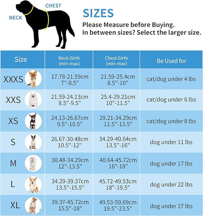 AIITLE Comfortable Dog Harness and Leash Set for Walking - Spring Step in Vest Harness,Reflective Bands, Adjustable No Pull Puppy Essentials, for Small Dogs and House Cats Yellow XS