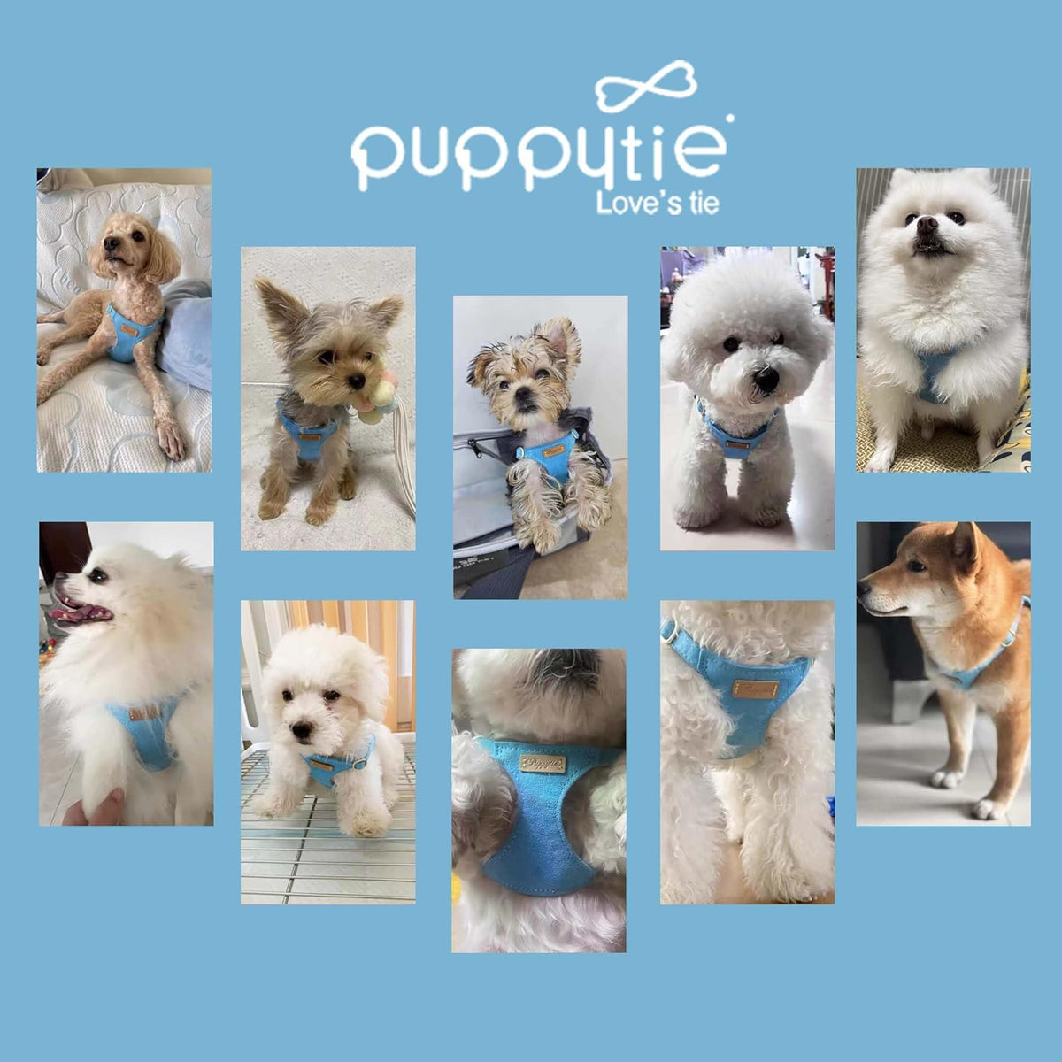 Puppytie No Pull xs Dog Harness with Multifunction Dog Leash,Soft Adjustable No Choke Escape Proof Pet Harness Vest,Ocean Blue,XS