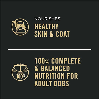 Purina Pro Plan Complete Essentials Classic Pate Dog Food, Chicken and Rice Entrée - (Pack of 12) 13 oz. Cans
