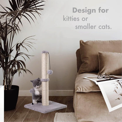 MECOOL Cat Scratching Post Premium Basics Kitten. Everyday comfort that fits naturally into your space.