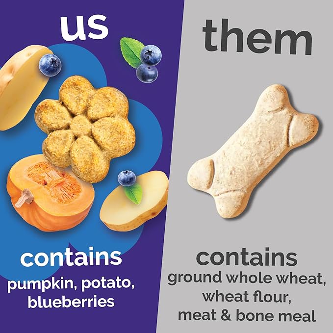 Fruitables Baked Dog Treats, Pumpkin Snacks for Dogs, Low Calorie & Delicious, No Wheat, Corn or Soy, Healthy Puppy Training Treats, Made in The USA, Pumpkin and Blueberry Flavor, 20oz