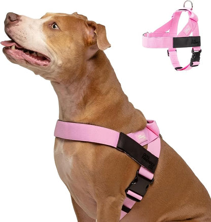 Dog Friendly Co. Dog Harness for Small Dogs (Pink, Extra Small) | One Click Buckle, Chafe Resistant Webbing, Adjustable Neck & Chest, and Heavy Duty D-Ring, Sturdy Comfortable and Easy to Use