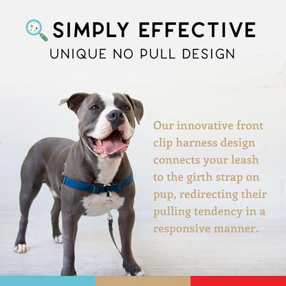 No Pull Dog Harness | Comfortable Training Harnesses | Effective No Pull Harness Design | Ideal for Large Sized Dog | 4-Point Adjustable(XL - 30~36 inch Girth, Navy)