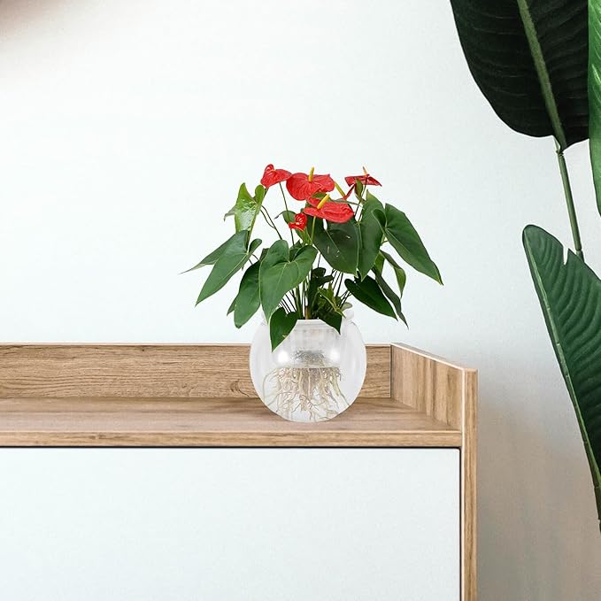 Plastic Round Aquarium Betta Bowl with Water Propagation Basket, Small Desktop Fish Tank for Office and Living Room, Plastic Fish Aquarium Terrarium Bowl 110c Medium Size