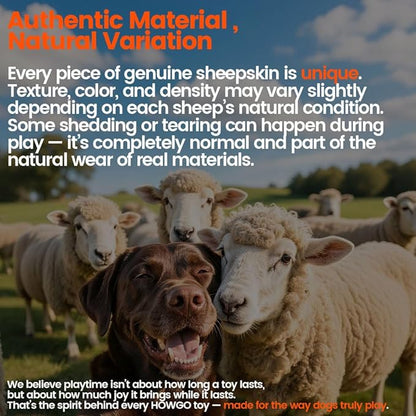 HOWGO Dog Rope Toy,Dog Bungee Chaser Toy 100% Sheepskin,Sheep Smell Tug Toy for All Breeds (Orange, Short Without Ball)