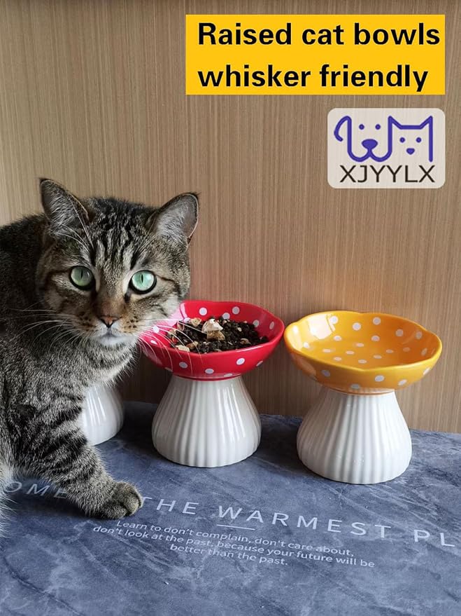 Mushroom Elevated Cat Bowls Ceramic, Cute Cat Bowls Whisker Fatigue | Raised Cat Bowl for Indoor Cats, Raised Dog Bowls Stand for Food and Water, Yellow 6" Wide for Adult Cats