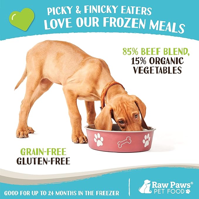 Raw Paws Signature Blend Pet Food for Dogs & Cats - Beef and Vegetables Recipe, 1-lb Rolls (20 Pack) - Fresh Pet Food Made in USA - Natural Dog Food Rolls - Raw Frozen Blend Dog & Cat Food