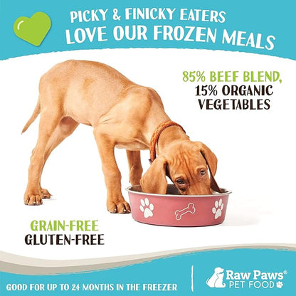 Raw Paws Signature Blend Pet Food for Dogs & Cats - Beef and Vegetables Recipe, 1-lb Rolls (20 Pack) - Fresh Pet Food Made in USA - Natural Dog Food Rolls - Raw Frozen Blend Dog & Cat Food