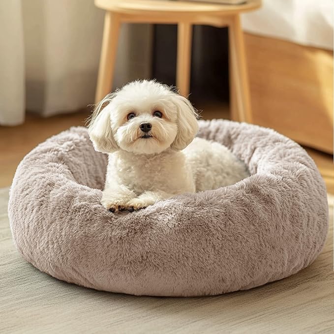 JOLLYVOGUE Dog & Cat Bed, Calming Anti-Anxiety Pet Bed for Small Dogs, Fluffy Donut Cushion for Small and Medium Pets (20")