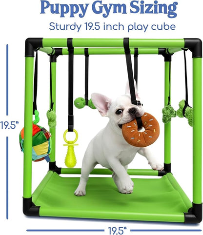 Race&Herd 19.5" Puppy Play Gym — Small Dog Jungle Activity Mat (Lime) | Dog Play Mat with 8 Bungee Straps, Interactive Puppy Active Toys — Indoor Enrichment Playground Set