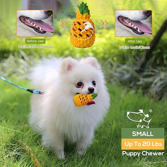 Puppy Chew Toys, Dog Chew Toys for Average Chewer, Tough Dog Dental Chews Toy, Indestructible Toys for Small Dogs, 20-40 Pounds, Small