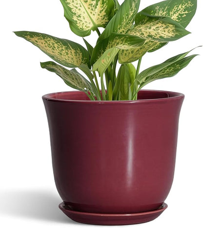 Ceramic Pots for Plants - 5.6 Inch Plant Pot for Indoor Outdoor, Round Succulent Orchid Pot with Drainage Hole and Saucer, Modern Small Planter, Window Office Desk Decor, Teacher Gifts, Red