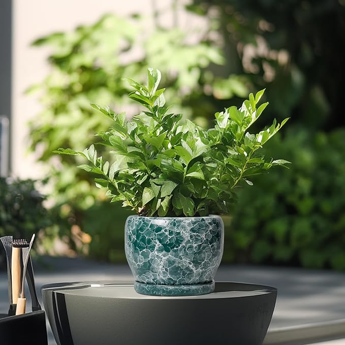 SQOWL Ceramic Pot for Plants - 6 Inch Ceramic Planter with Drainage Hole and Saucer, Round Flower Pot for Indoor Outdoor, Decorative Small Planter, Room Home Decor, Plant Lover Gifts, Green