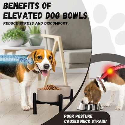 Raised Ceramic Dog Bowl Set with Stand, 3.5 Cups Elevated Dog Food Stand | 6.1'' Double Dog Food and Water Bowl Set, Non-Slip Dog Feeding Dishes for Small to Medium Breeds, 29.57 OZ, Grey