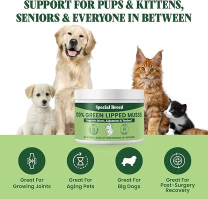 Special Breed Green Lipped Mussel Powder for Dogs & Cats - 100% New Zealand Green Lipped Mussels - Natural Hip & Joint Supplement for Joints, Tendons, Ligaments, Muscles - 200 Grams - 665 Servings