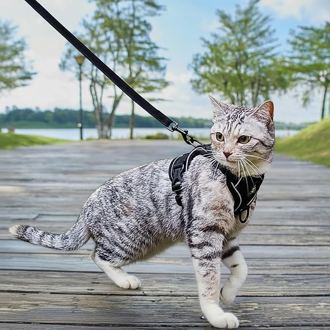 Cat Harness and Leash Set Escape Proof Tactical Extra Large Kitten Harness Emotional Support Cat Vest, Black, XL