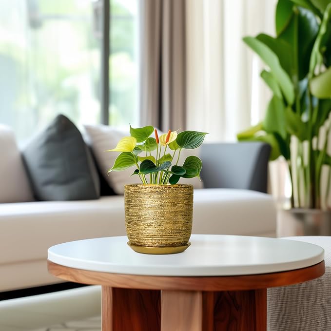 Succulent Pot 5 Inch - Ceramic Plant Pot for Indoor Flowers, Decorative Round Indoor Planter with Drainage Hole and Saucer, Plant Lover Gifts, Patio Office Home Room Decor, Gold