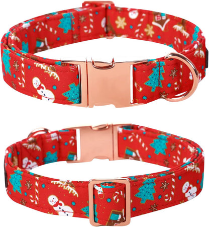 Lionet Paws Christmas Dog Collar with Flower. A thoughtful pick for calmer daily routines.